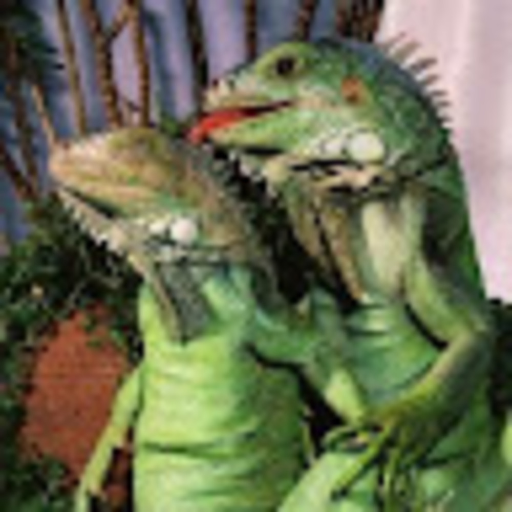 Meet your Posher, Leah